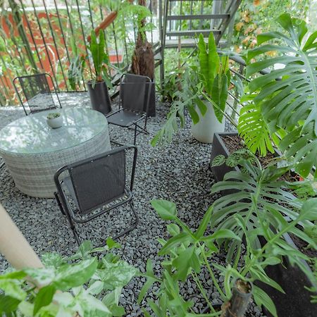 Hilly Hostel 달랏 외부 사진