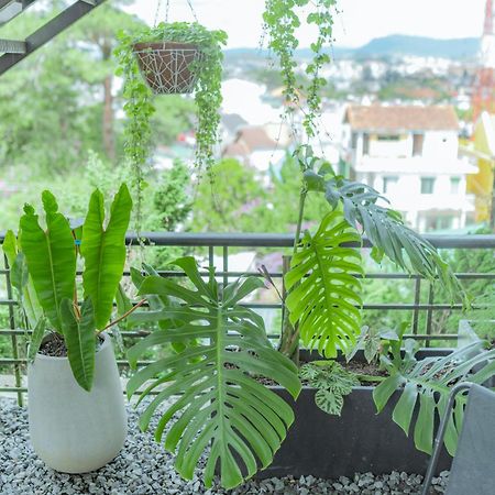 Hilly Hostel 달랏 외부 사진