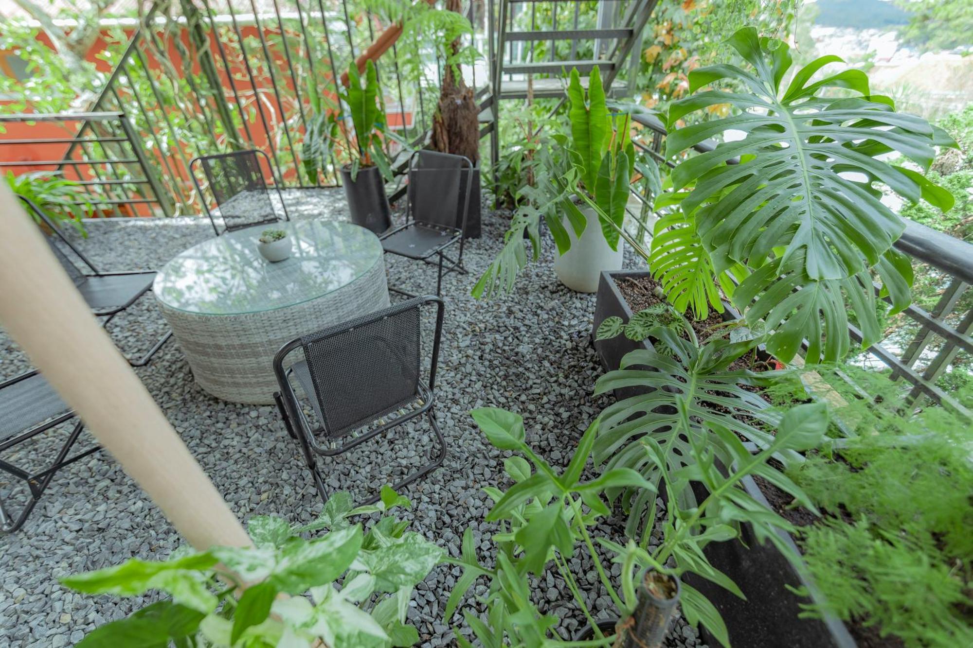 Hilly Hostel 달랏 외부 사진