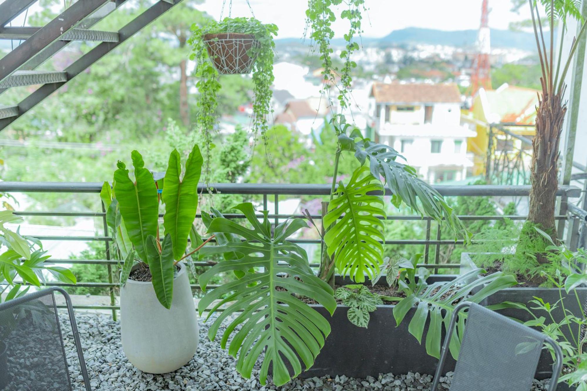 Hilly Hostel 달랏 외부 사진